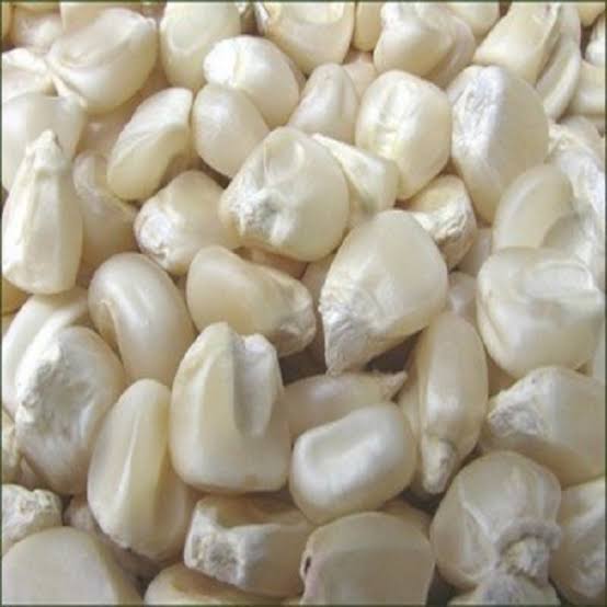 White Maize - Dried